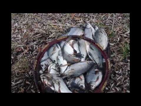 Az én horgászataim 2015-ben