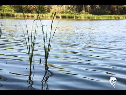 Egyszer volt a Fancsika…