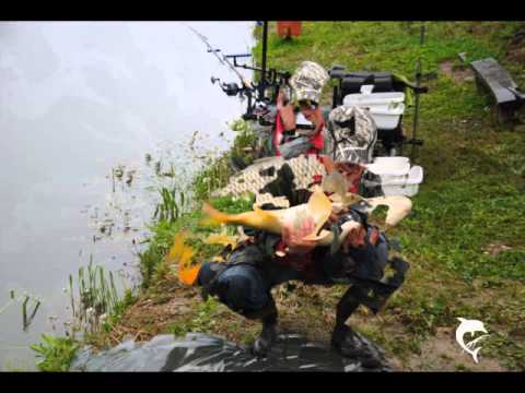 Hangonyi örömpeca és verseny