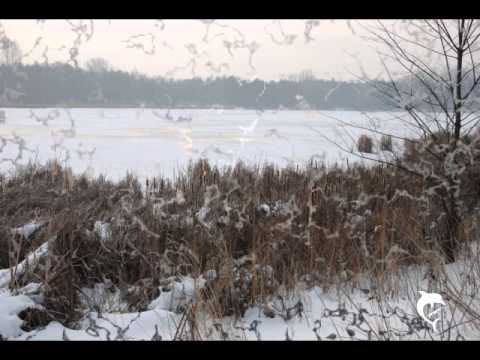 Egyszer volt a Fancsika (tél)